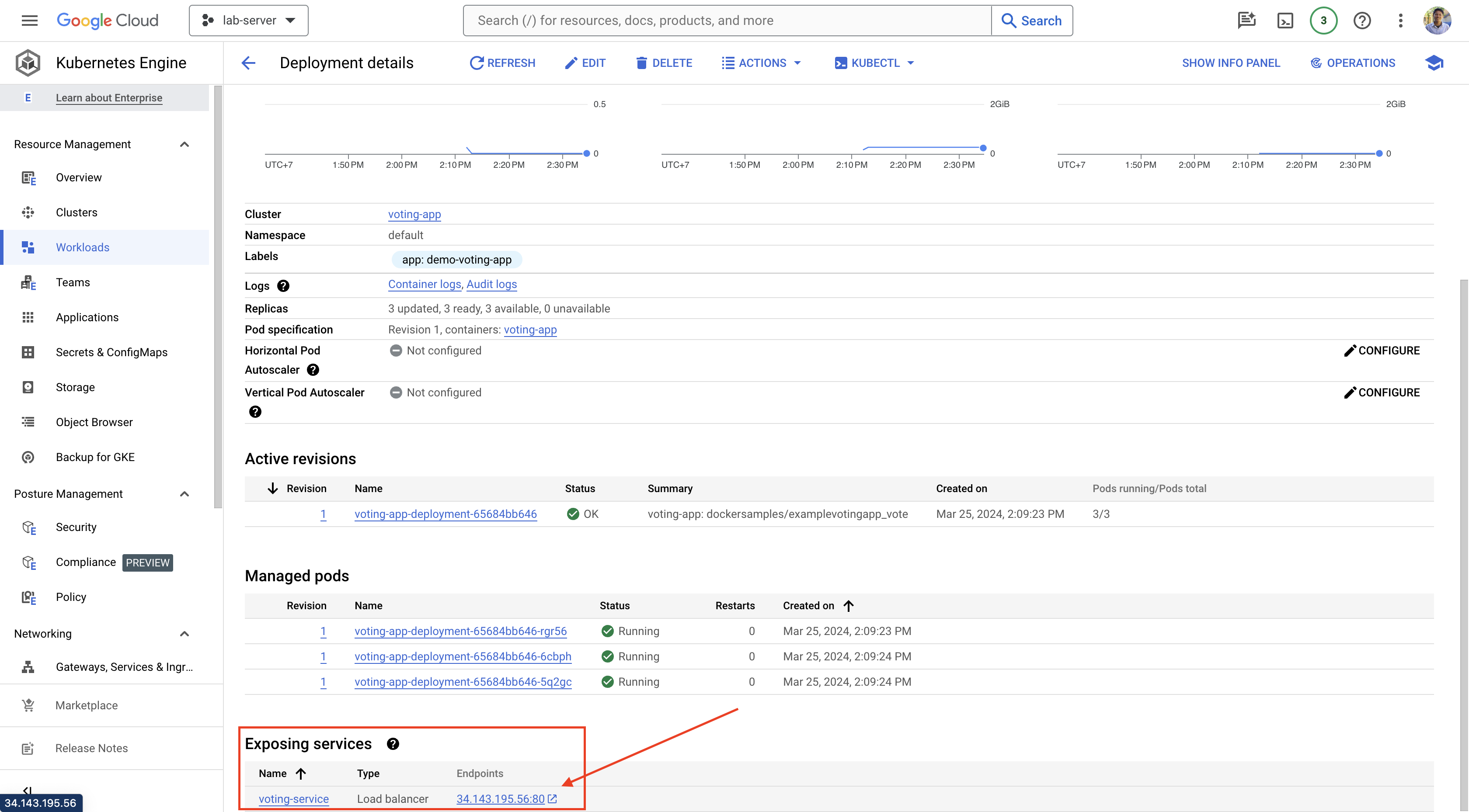 IP Address voting apps