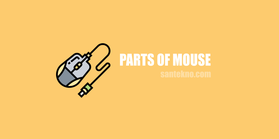 Bagian-bagian dari Mouse Komputer