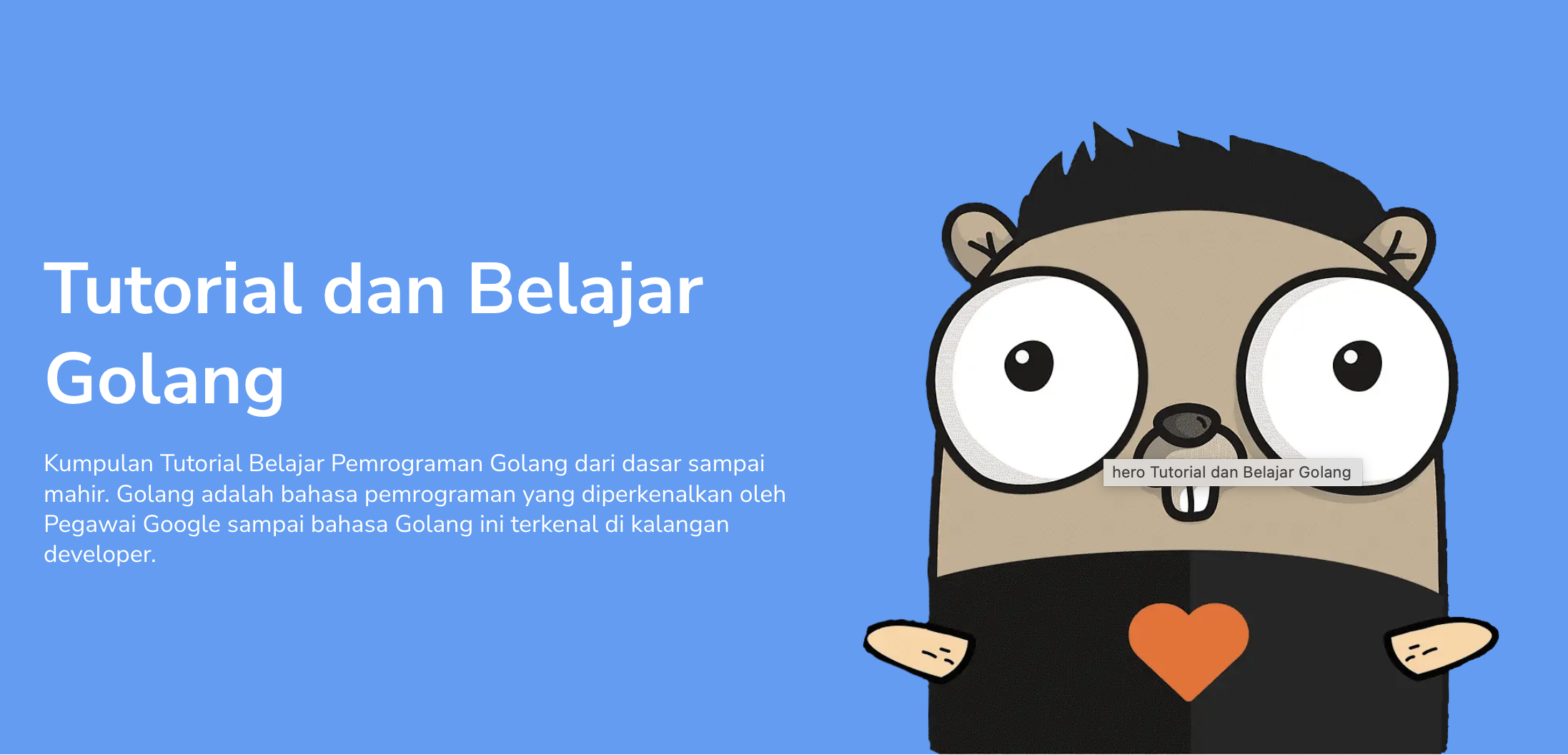 Tutorial dan Belajar Golang